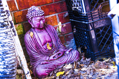 Fall Buddha Statue