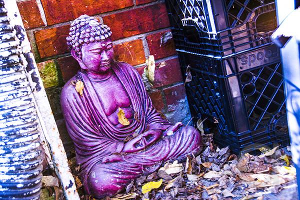 Fall Buddha Statue