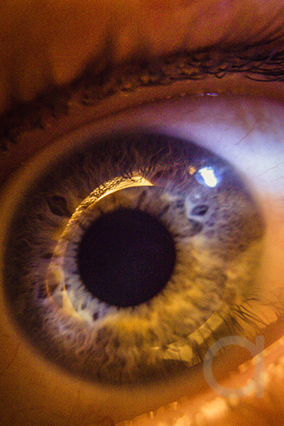 Eye Closeup