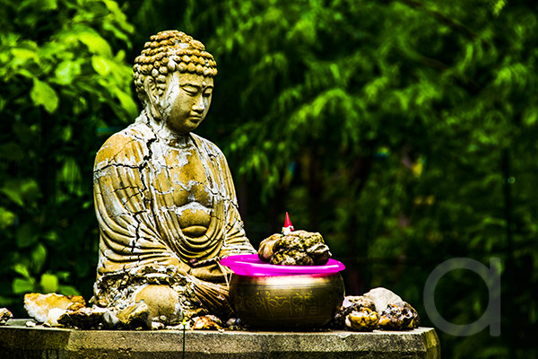Buddha Sitting