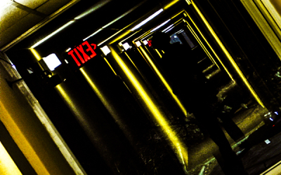 Beautifully Backlit