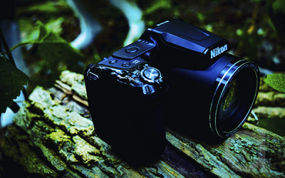 Protected: Wednesday