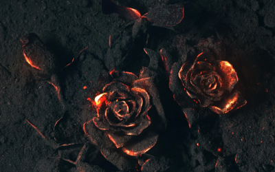 Protected: Sub Rosa ‘Under The Rose’