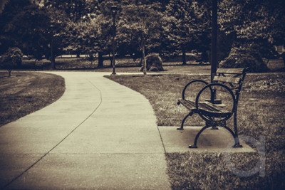 A Unique Bench Sits Bolted to the Cement Sidewalk