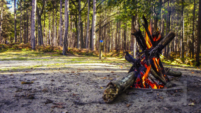 Deep Woods Camp Fire