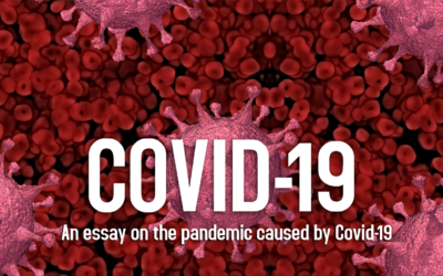 What Covid-19 Taught Us